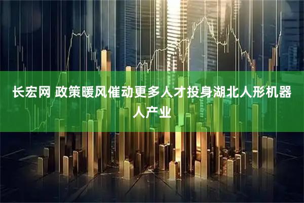 长宏网 政策暖风催动更多人才投身湖北人形机器人产业