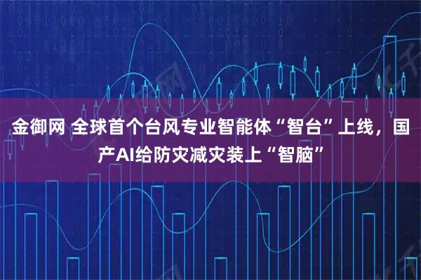 金御网 全球首个台风专业智能体“智台”上线，国产AI给防灾减灾装上“智脑”