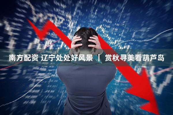南方配资 辽宁处处好风景 ｜ 赏秋寻美看葫芦岛