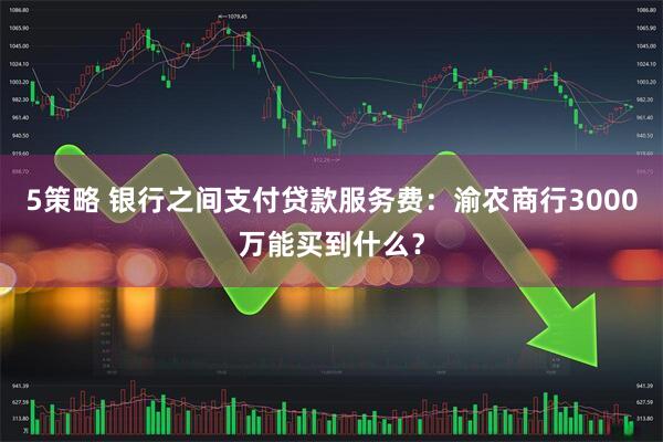 5策略 银行之间支付贷款服务费:渝农商行3000万能买到什么?