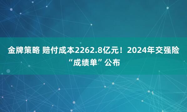 金牌策略 赔付成本2262.8亿元！2024年交强险“成绩单”公布