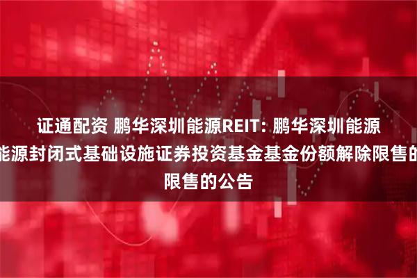 证通配资 鹏华深圳能源REIT: 鹏华深圳能源清洁能源封闭式基础设施证券投资基金基金份额解除限售的公告