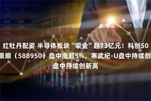 红牡丹配资 半导体板块“吸金”超73亿元！科创50ETF景顺（588950）盘中涨超5%，寒武纪-U盘中持续创新高